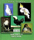 birdsfromforrest.jpg (7714 bytes)