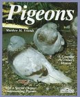 pigeons.jpg (8013 bytes)