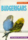 startbudgie.jpg (5243 bytes)
