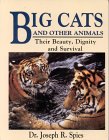 bigcats2.jpg (7895 bytes)