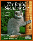 british.gif (15734 bytes)