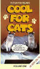 coolforcats (9905 bytes)